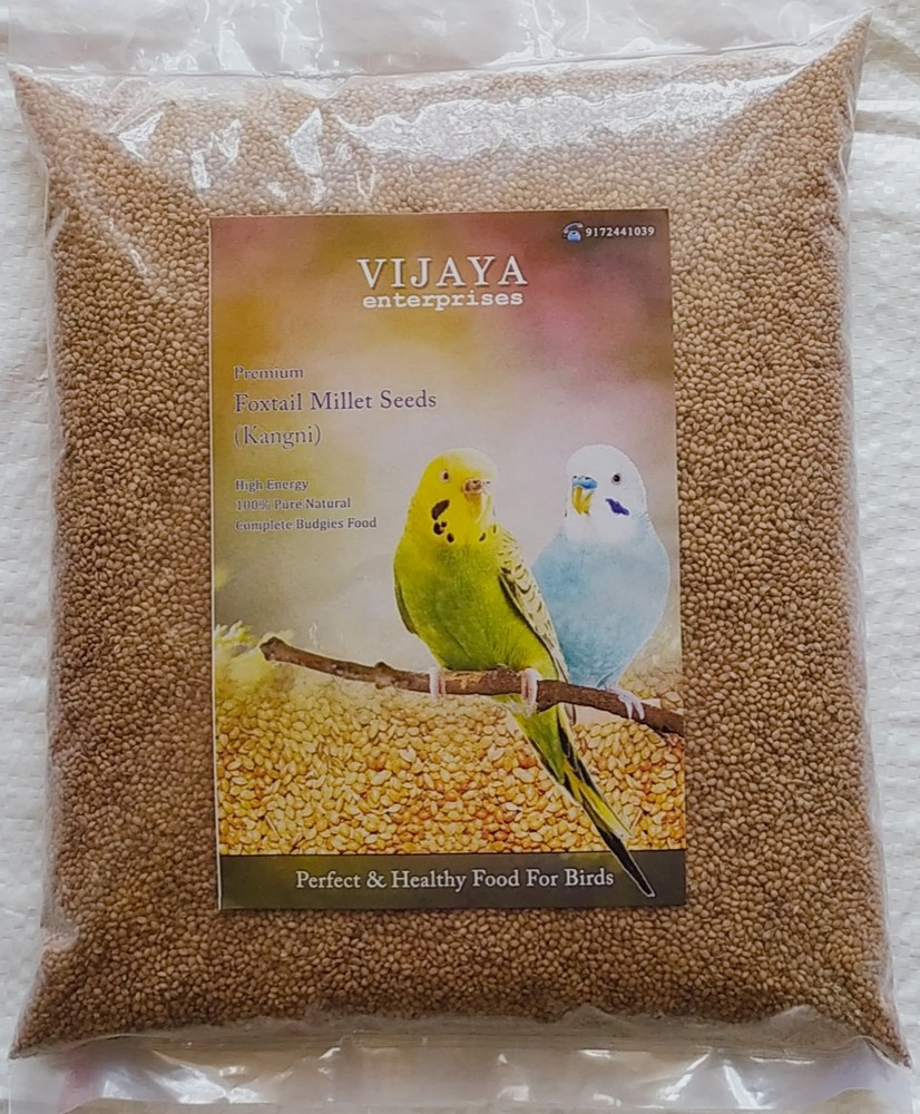 Birds food deals online