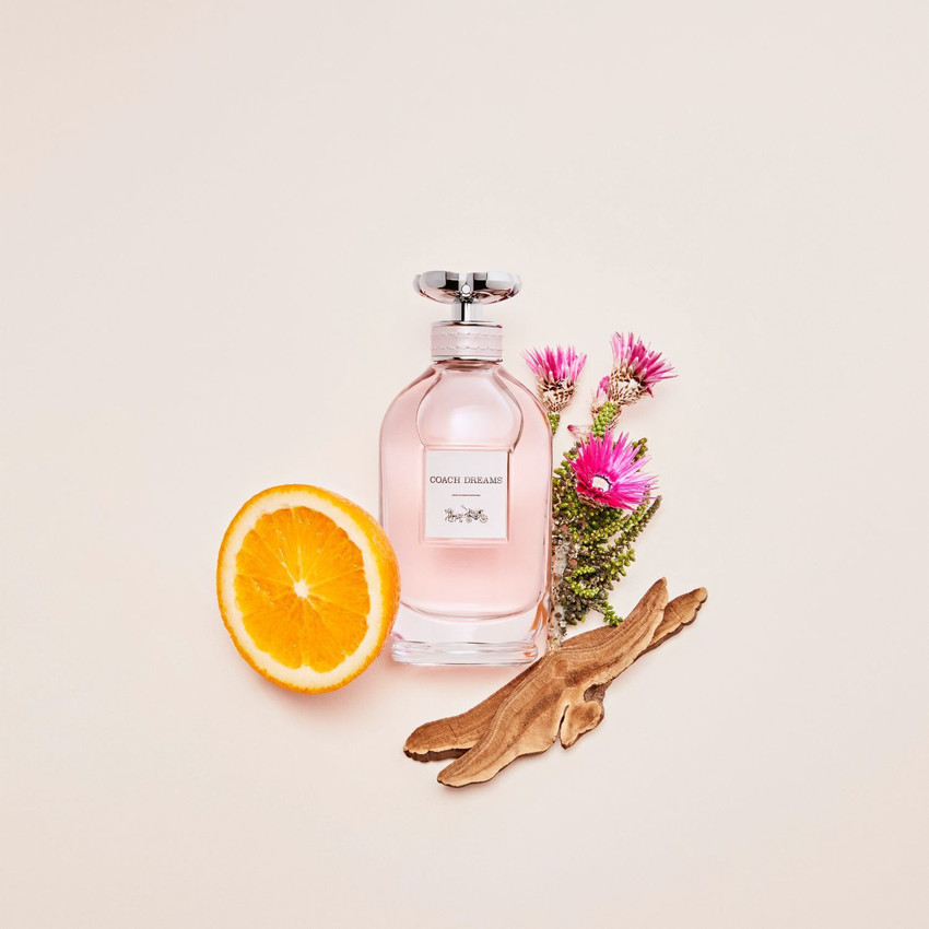 Buy COACH Dreams Eau de Parfum For Women 90ml Eau de Parfum 90