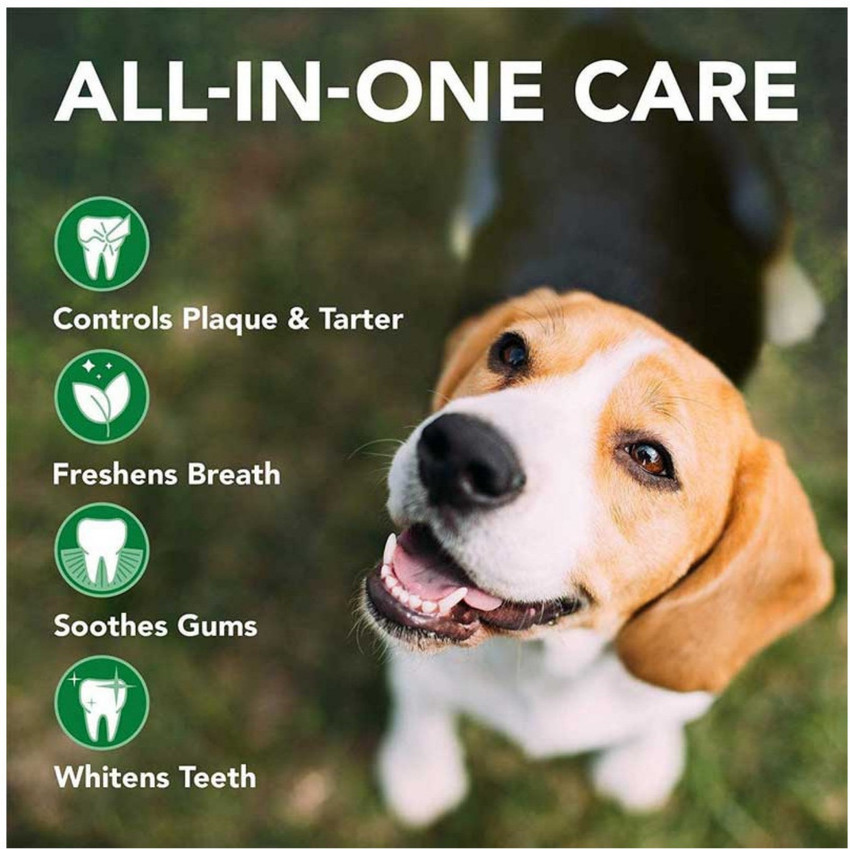 Vets Best Advanced Dental Foam for Dogs Pet Mouth Freshner Price
