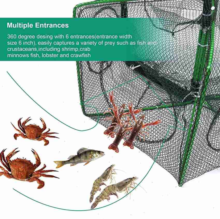 Fishing Bait Trap Foldable, 8 Holes Automatic Fishing Crab Net, Trap Cage  Fish Accessories, for Fish, Minnow, Crab, Crayfish, Crawdad, Shrimp