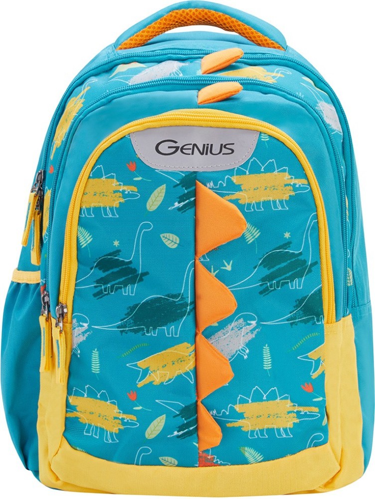 Genius best sale bags flipkart