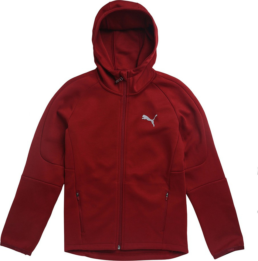 Puma evostripe move hooded jacket best sale
