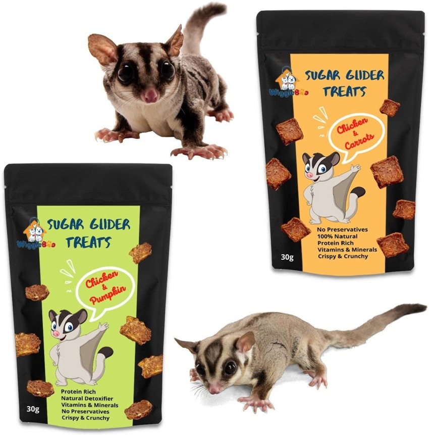 Sugar glider hot sale snacks