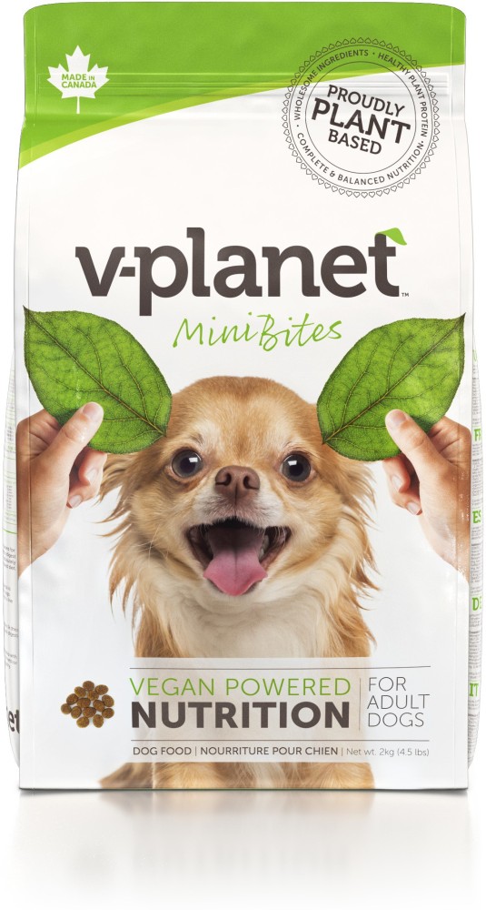 Munich-based VEGDOG fetches €3.5 million to bring plant-based  sustainability to pet food