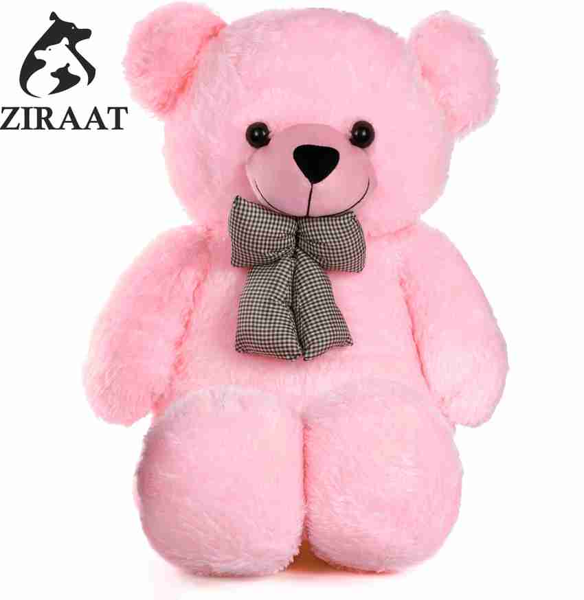 Cute teddy bear price shop