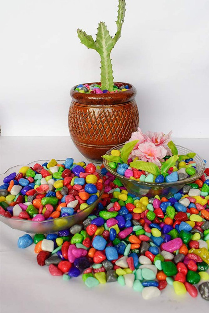 RPI SHOP 2.7 KG Multi Color Decorative Stones Colourful Pebbles