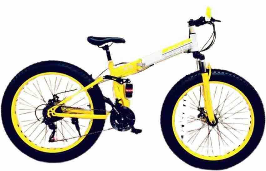 Sports shop fat bike