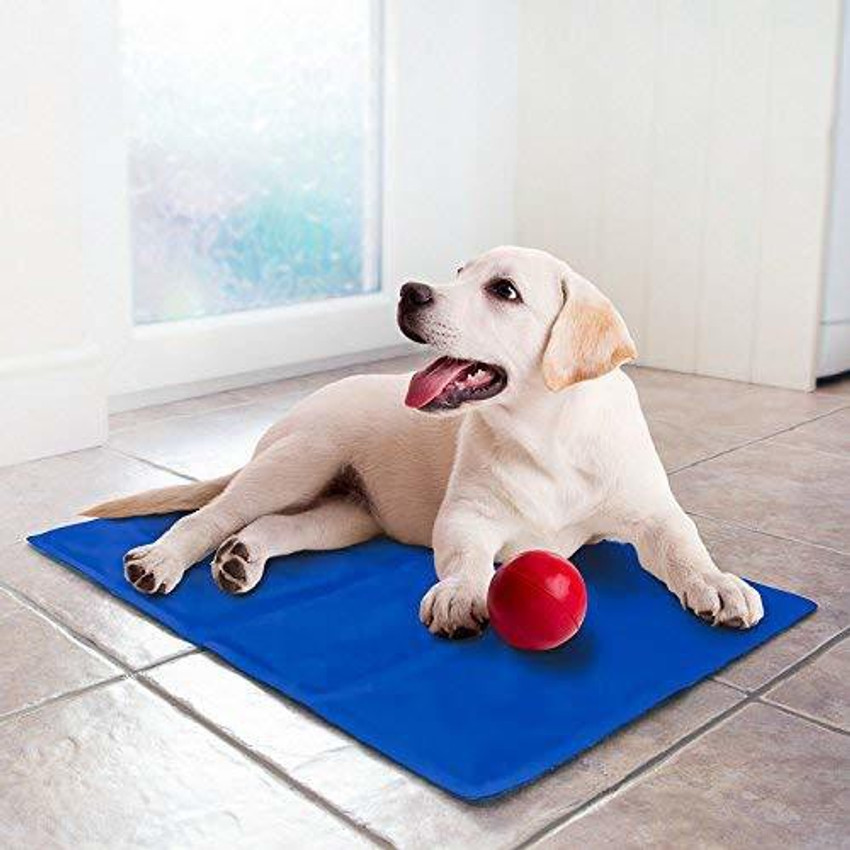 Pressure activated pet heating pad outlet
