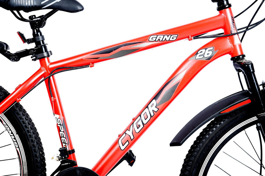 Gang vx1 shop cycle photo