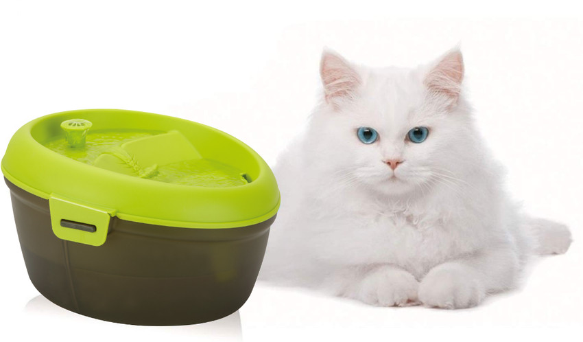 Cat h20 filters discount