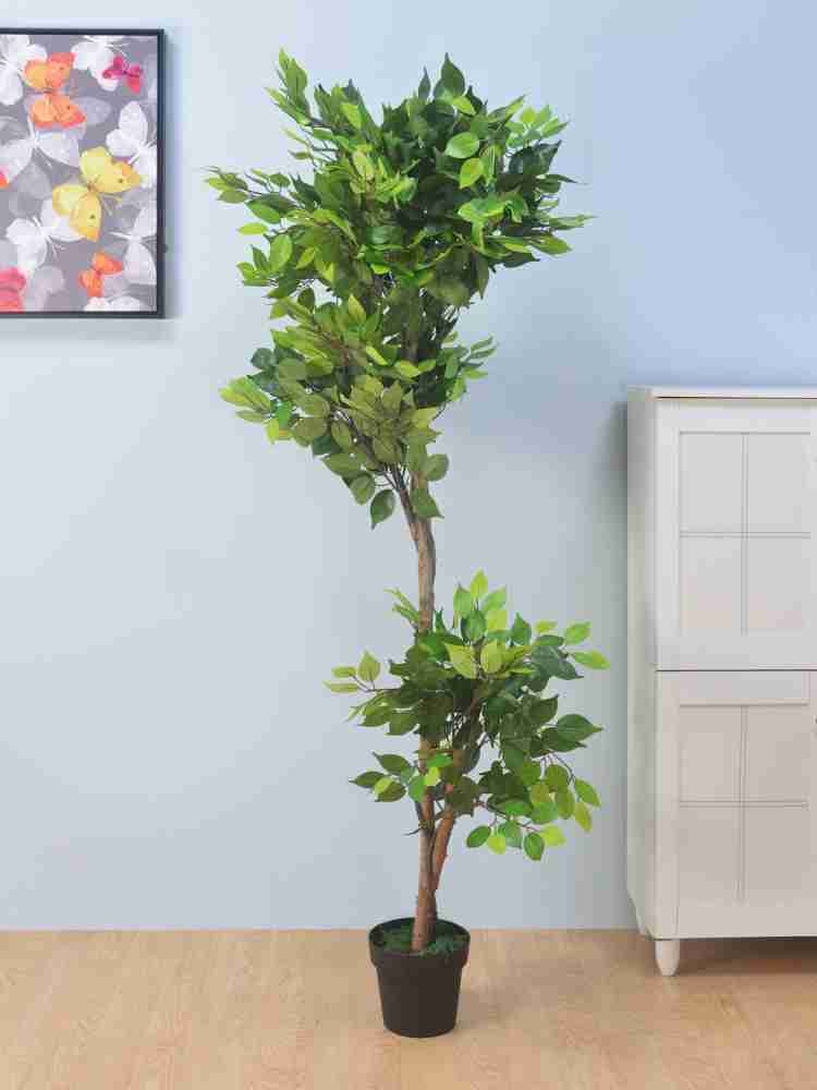 NECTAR Ficus artificial 90 cm