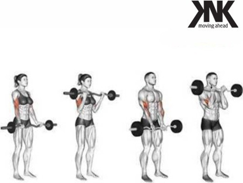 Zigzag rod for biceps 2025