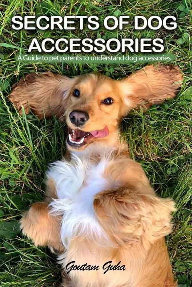 Flipkart pet accessories sales