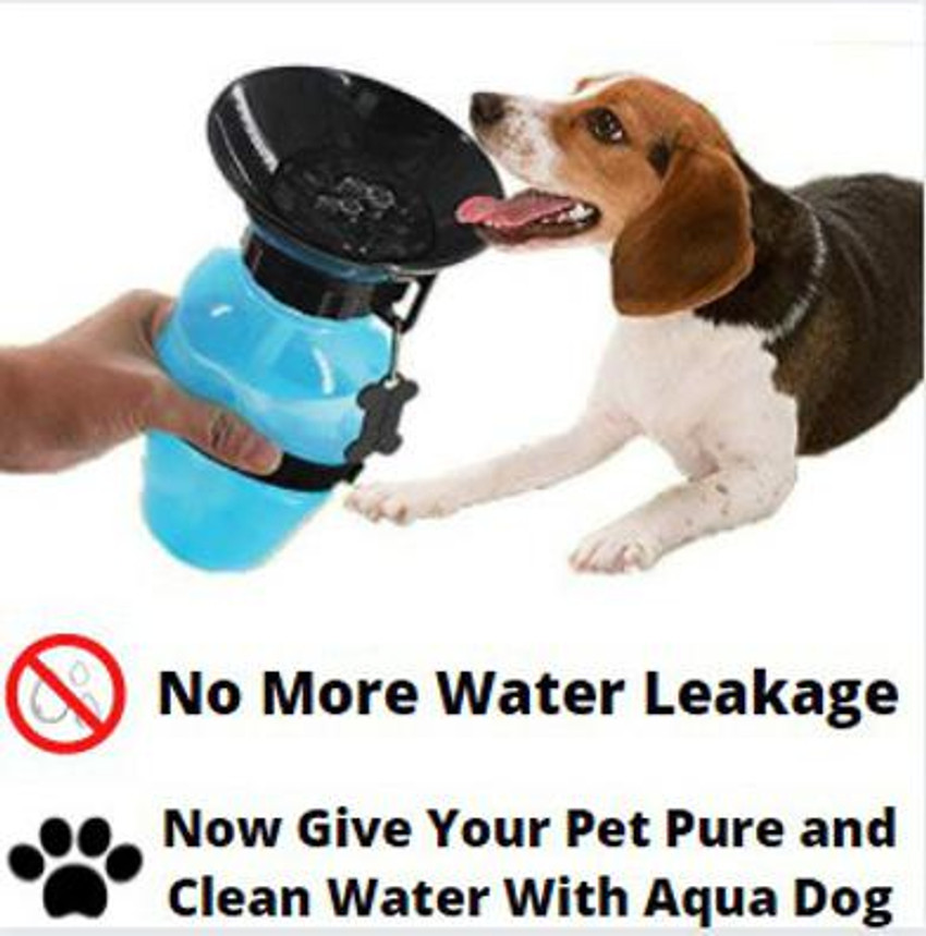 Aqua dog top water bowl bottle