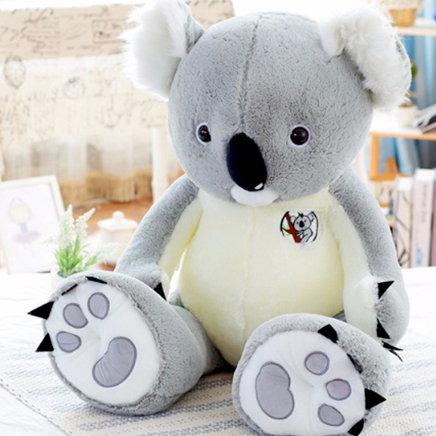 Cherubs Large Size Koala Bear Plush Toy 65 cm Large Size Koala Bear Plush Toy Buy Koala toys in India. shop for Cherubs products in India. Flipkart