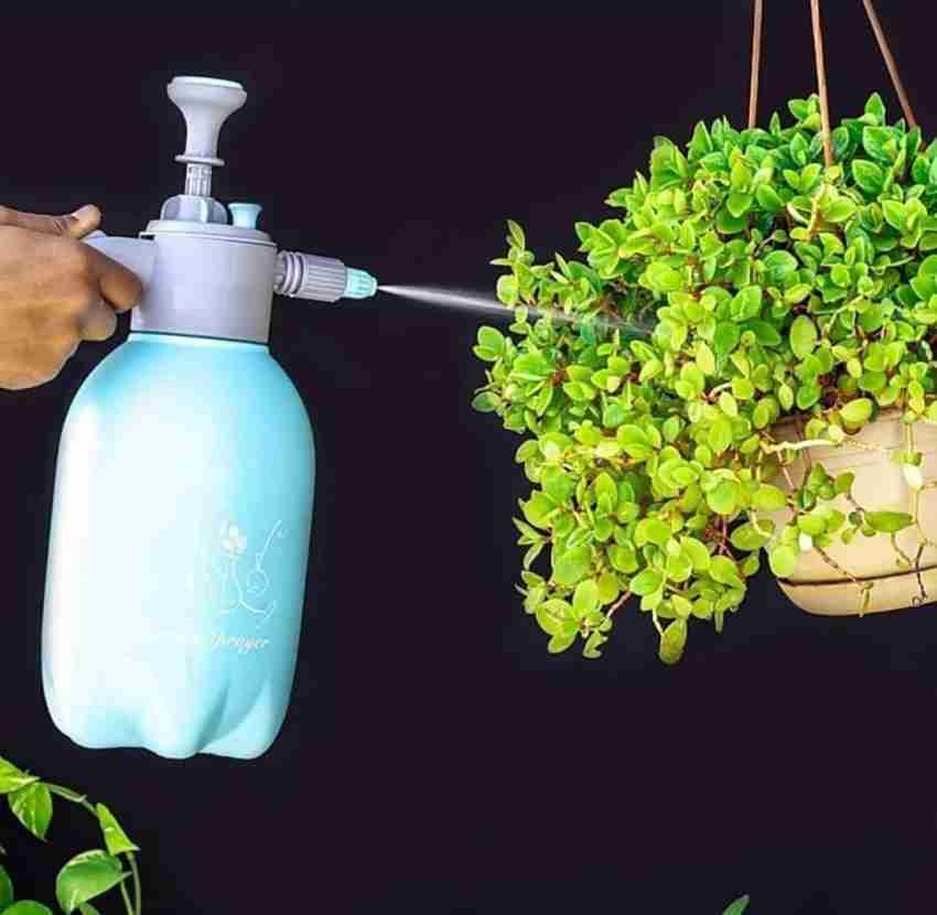  Pressurized Spray Bottle 1L Portable Chemical Sprayer Pressure  Garden Handheld : Patio, Lawn & Garden