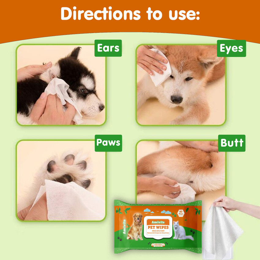 Wet dog pet store wipes