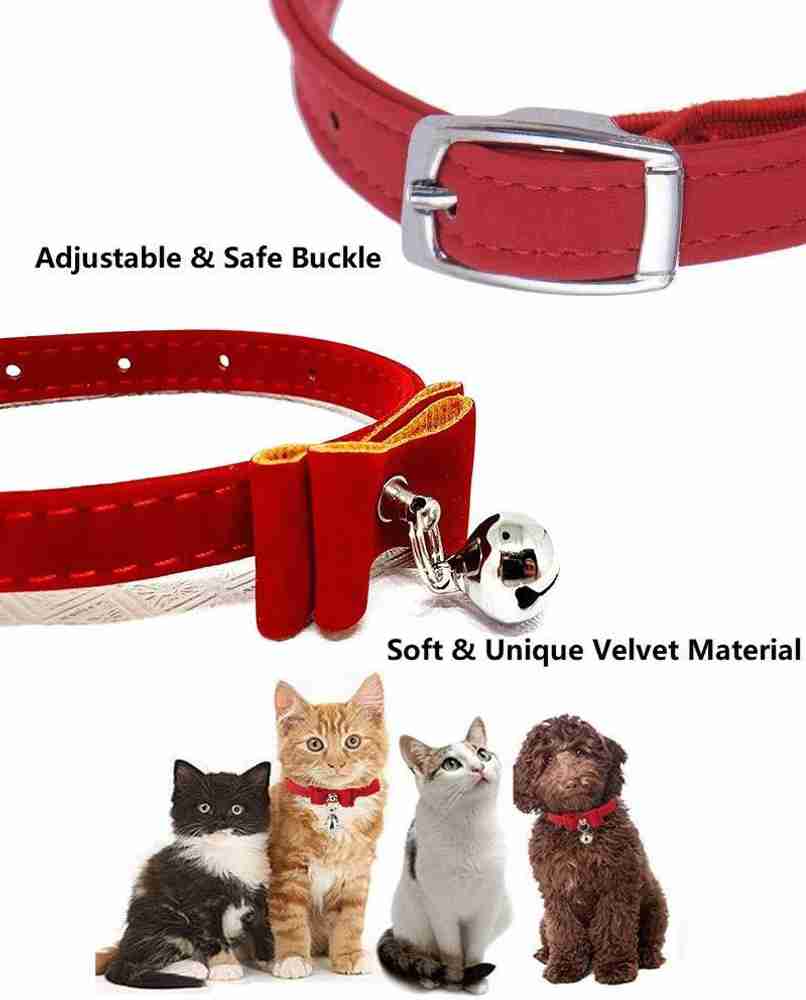 Cat top neck band