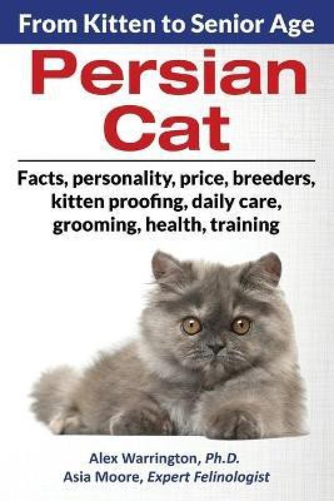 Persian best sale cat buy