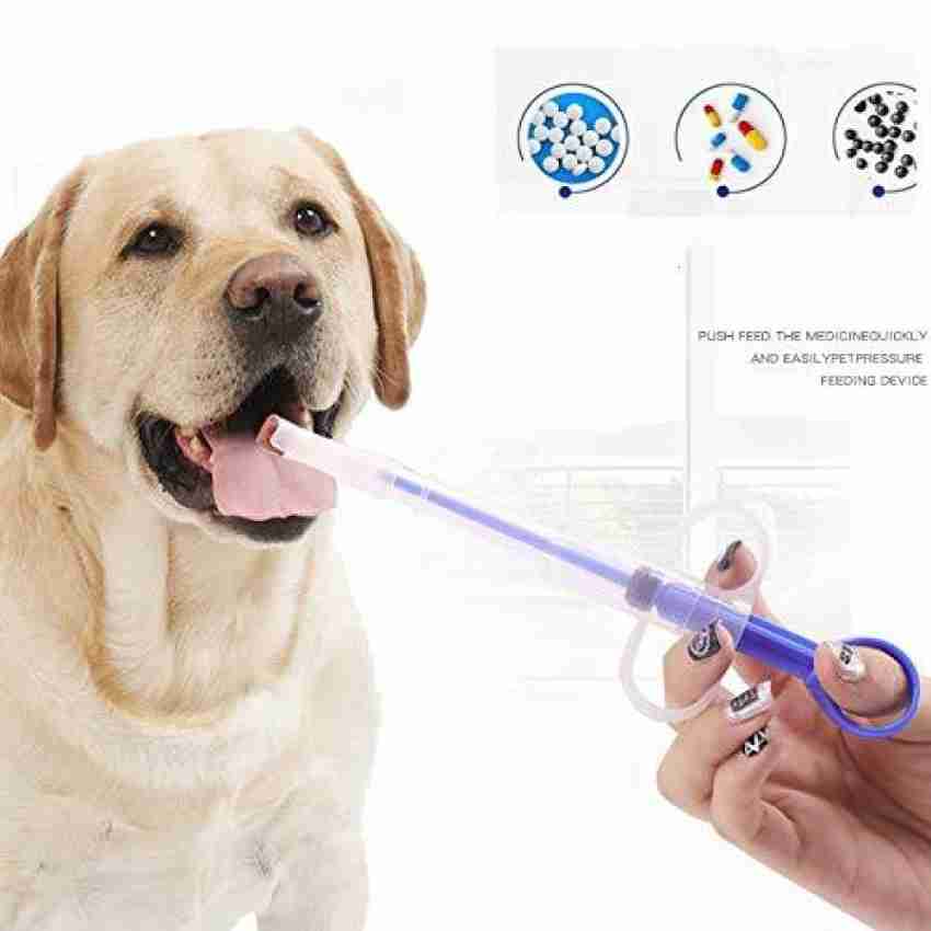 Food syringe outlet for dogs