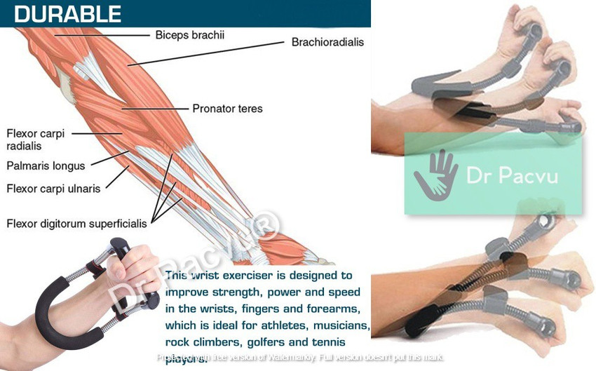 Toning forearms sales