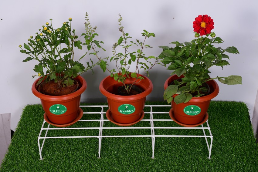 Blessy Long S Hook For Hanging Plants. Plant Container Set Price in India -  Buy Blessy Long S Hook For Hanging Plants. Plant Container Set online at