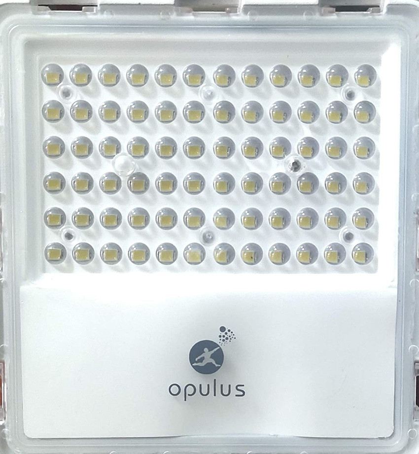 Opulus led flood light cheap