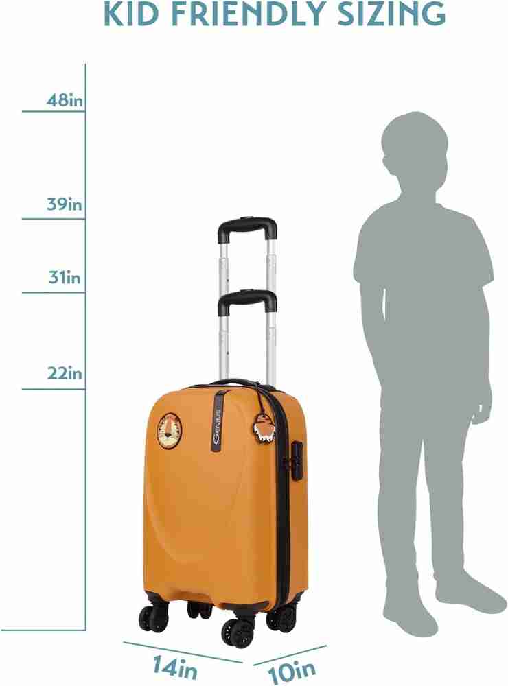 Tiger cabin baggage deals