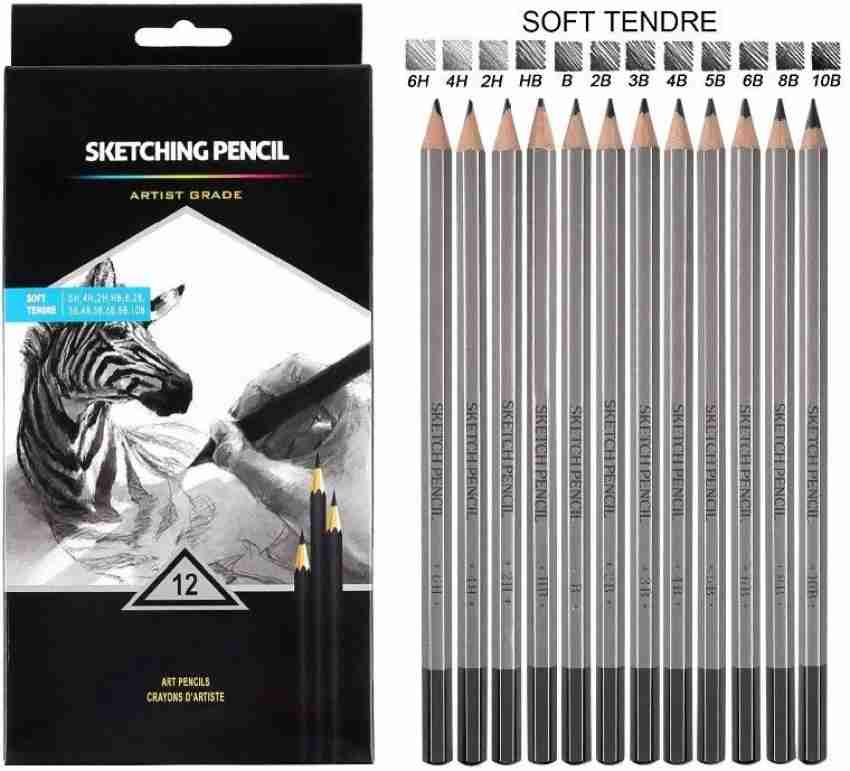 Definite Art Graphite Professional Drawing Sketching Pencil  Set- Artist Grade Degree Pencils 10B, 8B, 6B, 5B, 4B, 3B, 2B, B, HB, 2H, 4H  and 6H (Pack of 12), Art Blending
