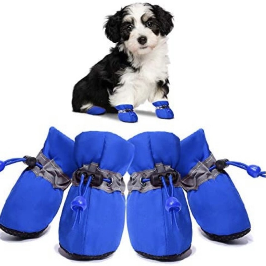 Dog deals shoes flipkart