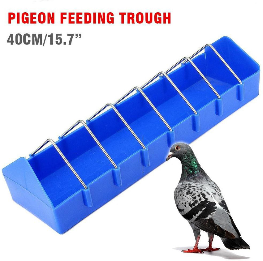 Pigeon new arrivals feeder tray