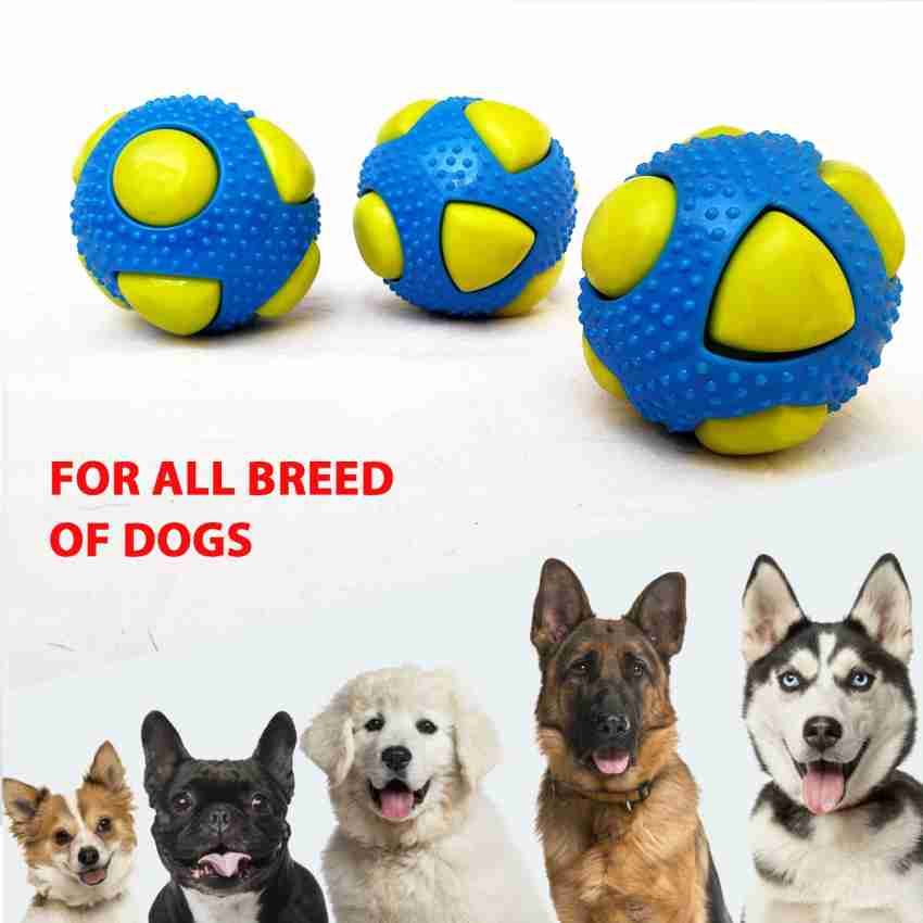 Squeaky ball outlet sounds for dogs