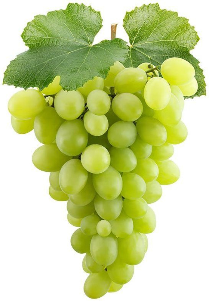 Grapes help in digestive issues like gas, bloating and constipation. Best probiotic food for gut health