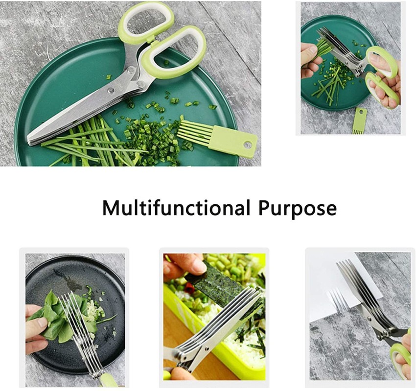 https://rukminim2.flixcart.com/image/850/1000/kt1u3rk0/kitchen-scissor/i/r/q/scissors-leaf-herb-stripper-stainless-steel-5-blade-kitchen-original-imag6hbf7dqbeedn.jpeg?q=90
