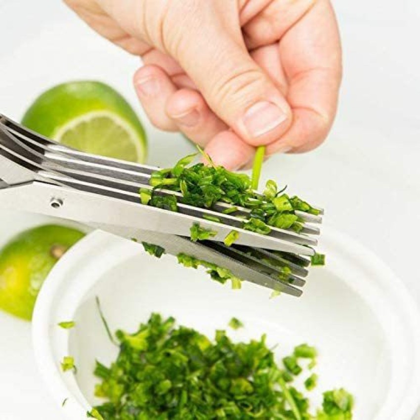 https://rukminim2.flixcart.com/image/850/1000/kt1u3rk0/kitchen-scissor/x/w/r/scissors-leaf-herb-stripper-stainless-steel-5-blade-kitchen-original-imag6hbfzky7ydwa.jpeg?q=90