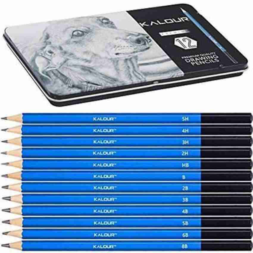  KALOUR Drawing Sketching Pencil Set, 36 Pro Art Pencil Kit, 12  Graphite Pencils (8B-5H), Black & White Charcoal Pencils, Charcoal Sticks,  Stumps, Eraser, Sharpener, Tutorial, Art Supplies : Arts, Crafts