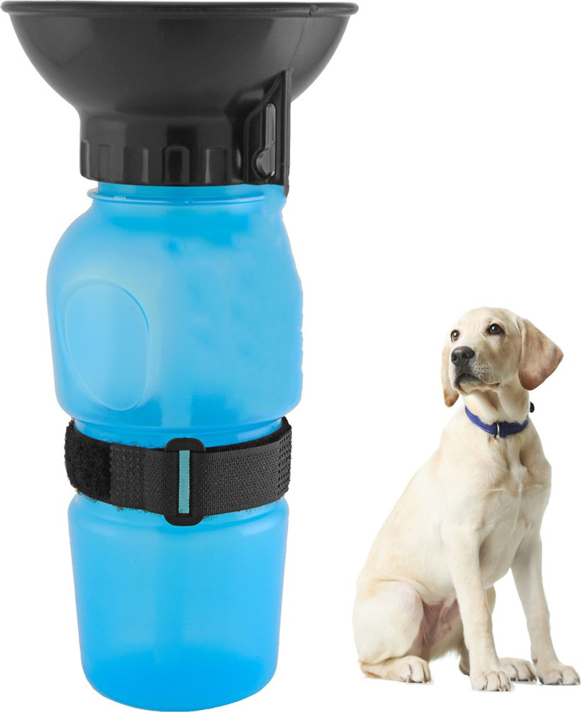 Dog on sale water feeder