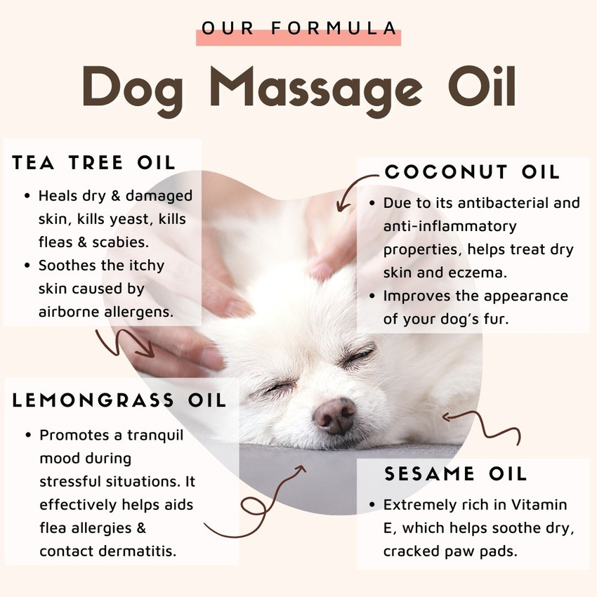 Coconut oil skin treatment for dogs on sale