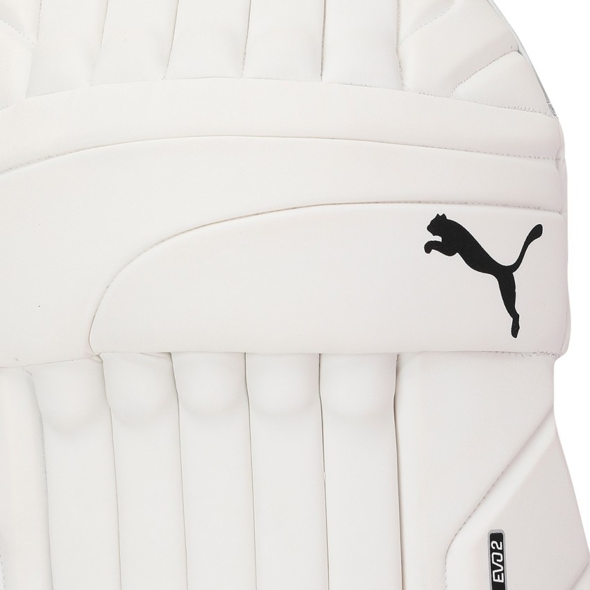 Puma evo best sale 2 batting pads