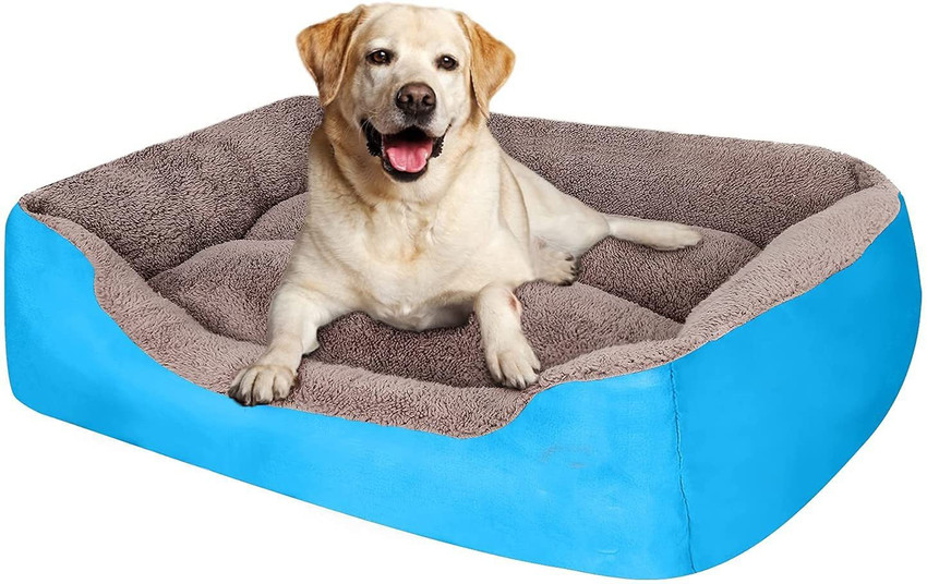 Dog bed flipkart discount