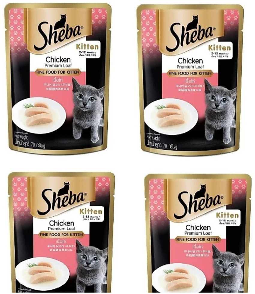 Sheba kitten sales