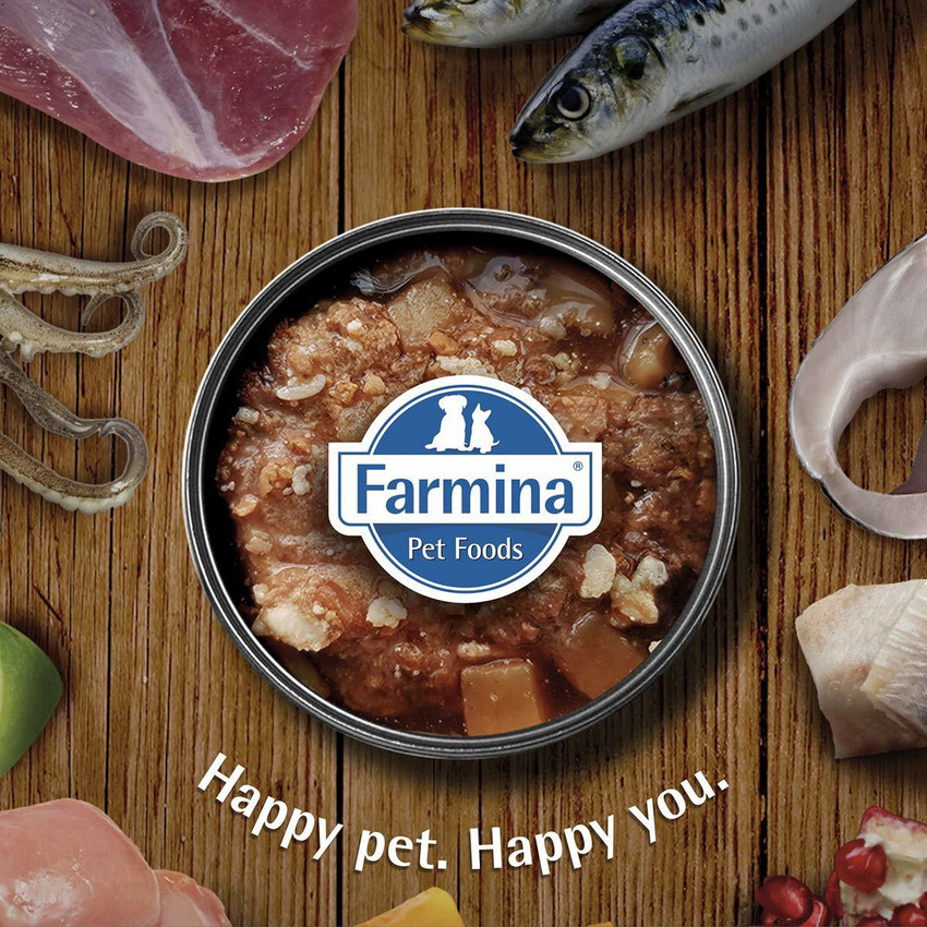 Farmina wet dog food cheap