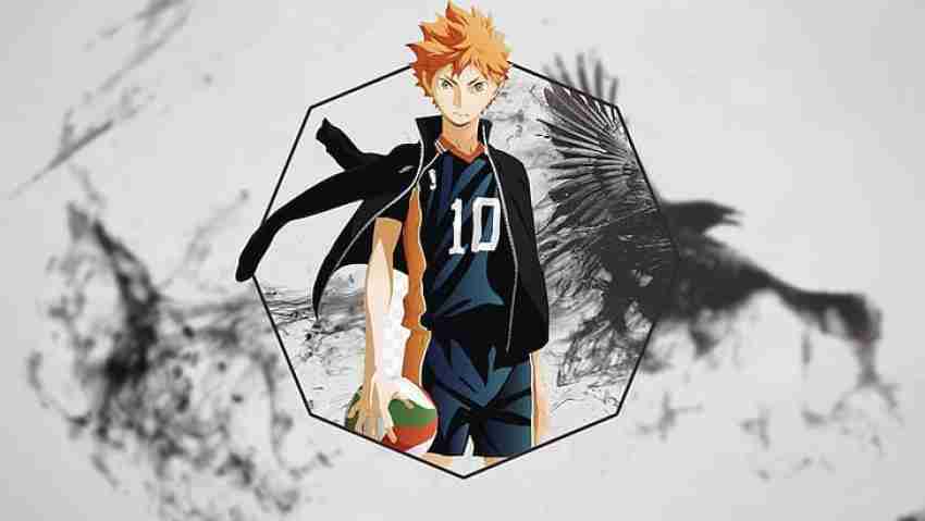 Anime Haikyuu Hinata Shoyo