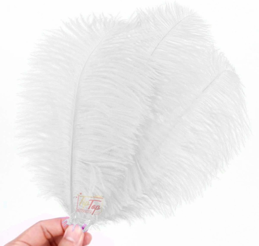 Natural Tonals Ostrich Floss Feather Fan  Buy Fluffy Feather Fans – Zucker  Feather Products, Inc.