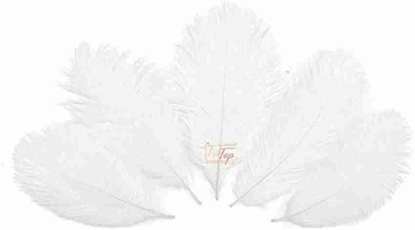 White Ostrich Feather Spads Selected  Wholesale Craft Feathers – Zucker  Feather Products, Inc.