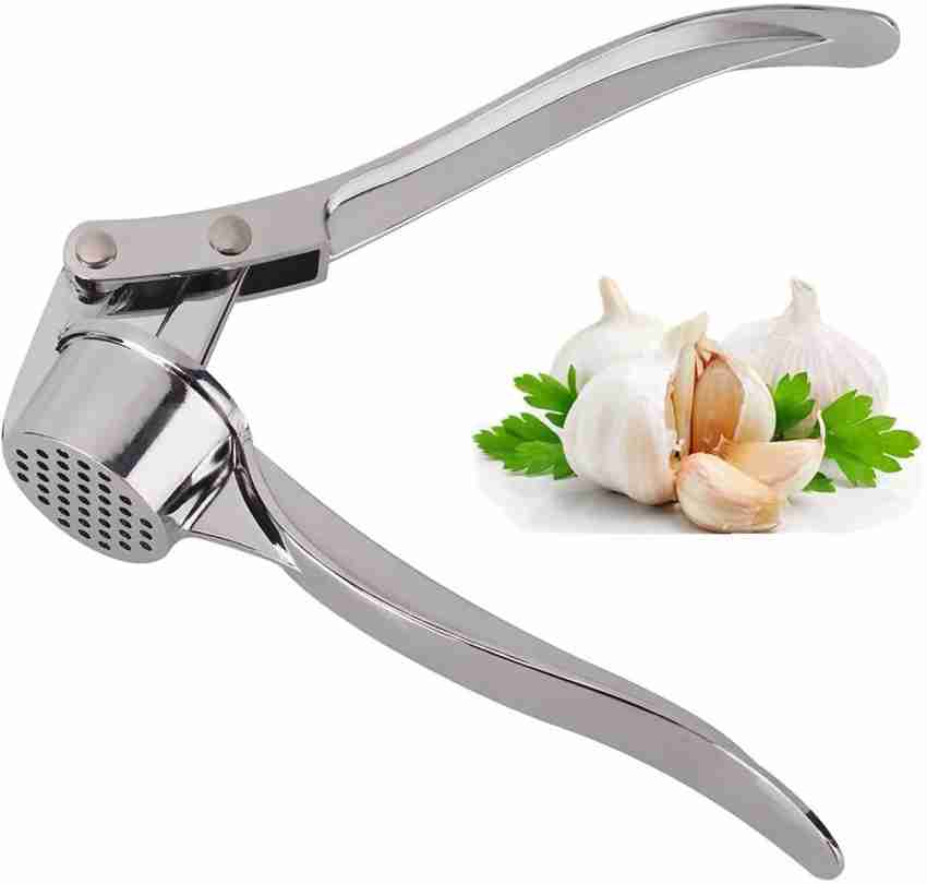 Buy Stainless Steel Garlic Press Professional Kitchen Garlic Crusher Online  in India 