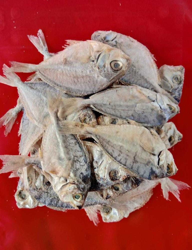 Buy Stockfish Online In India -  India