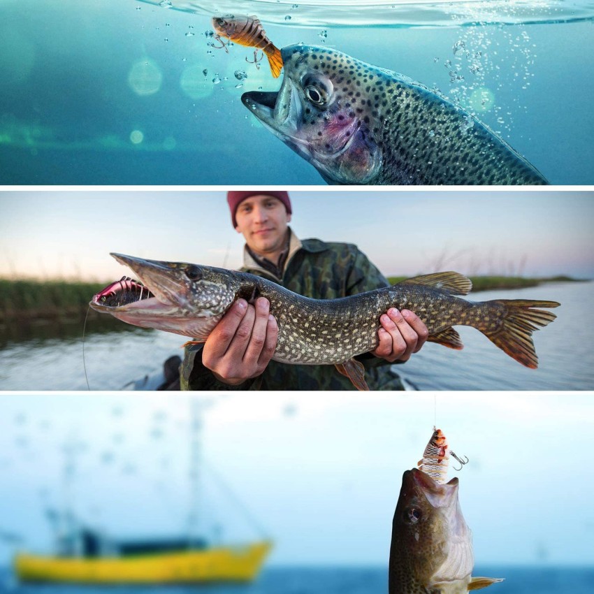 https://rukminim2.flixcart.com/image/850/1000/ktd9mkw0/fishing-lure/s/j/0/10-fishing-colorful-lures-for-bass-top-water-bait-slow-sinking-original-imag6q9nzhyeqmjp.jpeg?q=90&crop=false