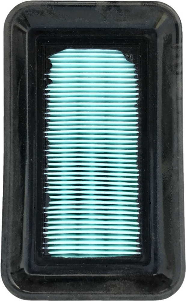 GAP Gautam Auto Parts Bike Air Filter For Bajaj Discover 100 M