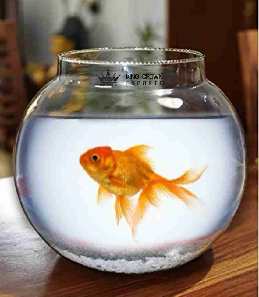 5 litre hotsell fish bowl